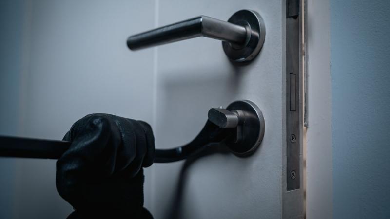 A fiúk teljesen megőrültek, és szinte felfoghatatlan, hogy mit műveltek ezen a nyáron!