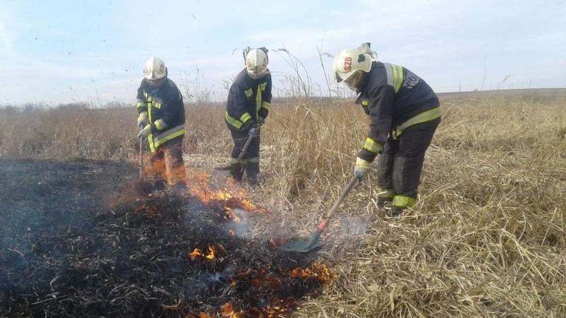 Öt hektáron terjedt el a tűz Keszőhidegkúton, ahová négy különböző város tűzoltói siettek a segítségére.