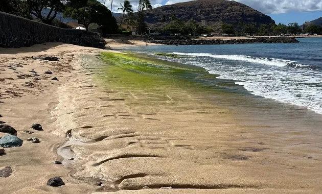 A Hawaii partjainál rejtőző óceáni titkok üzenetei