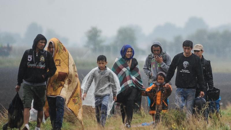 A muszlim szélsőségesség árnyéka egyre inkább megjelenik Görögországban, különösen Athén egyes kerületeiben, ahol a helyzet egyre aggasztóbbá válik. Az érintett területek no-go zónákká alakulhatnak, ahol a helyi lakosság és a látogatók biztonságérzete kom