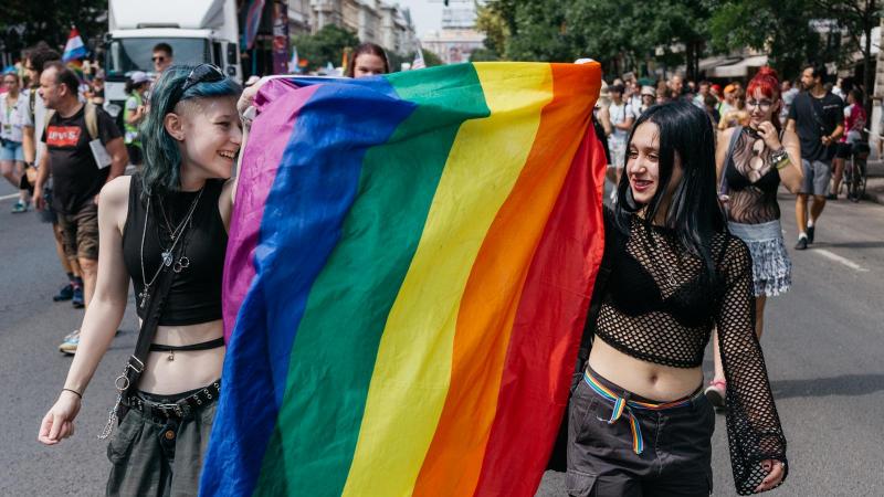 A Verzió fesztivál online platformján egyedülálló LMBTQ-tematikájú dokumentumfilmeket kínál, ezzel is támogatva a Budapest Pride szellemiségét.