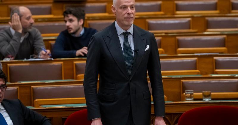 Fidesz: Ruszin-Szendi Romulusz téves információt adott saját vezetőjének | Demokrata