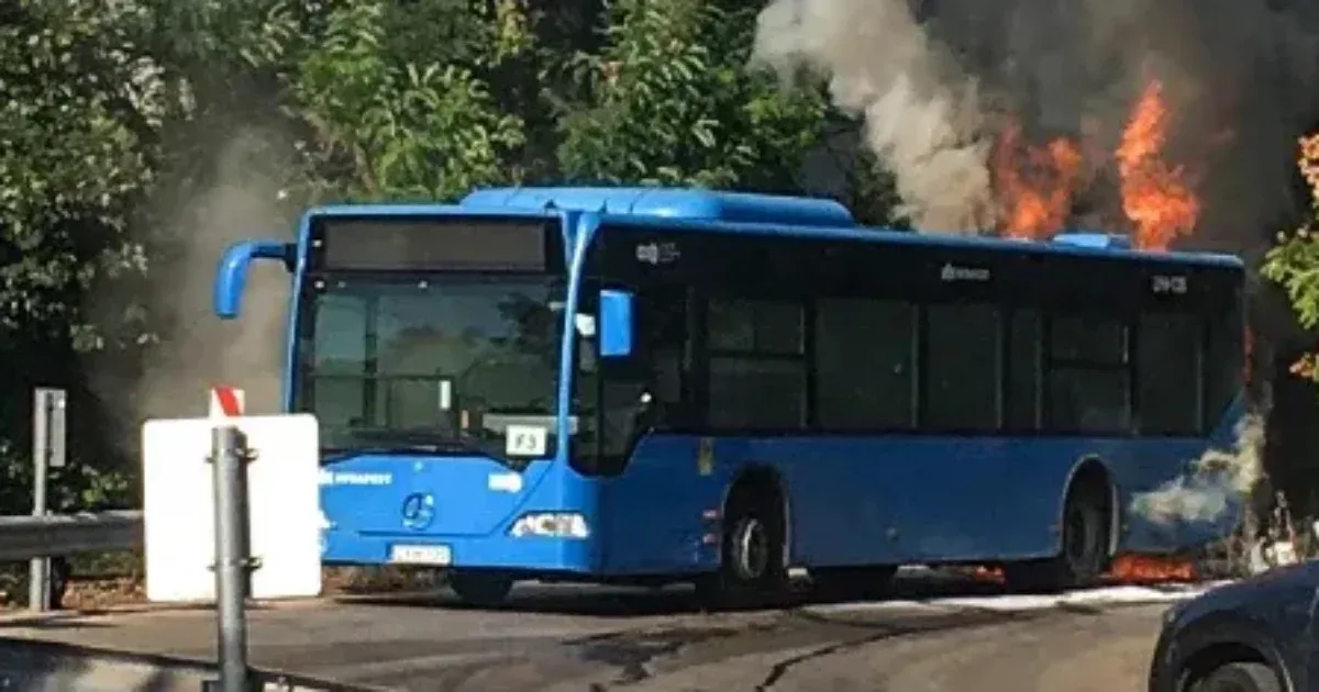 Vitézy kijelentette, hogy a BKV a Fidesz politikai döntései következtében nem volt képes kicserélni a kigyulladt buszokat.